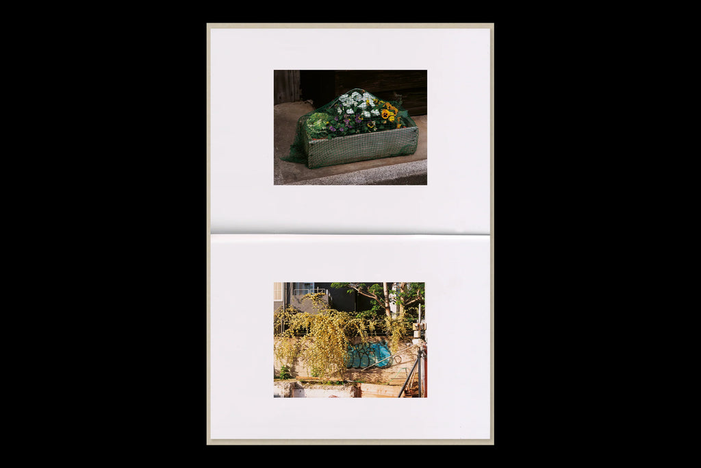 Max Creasy - How Things Look