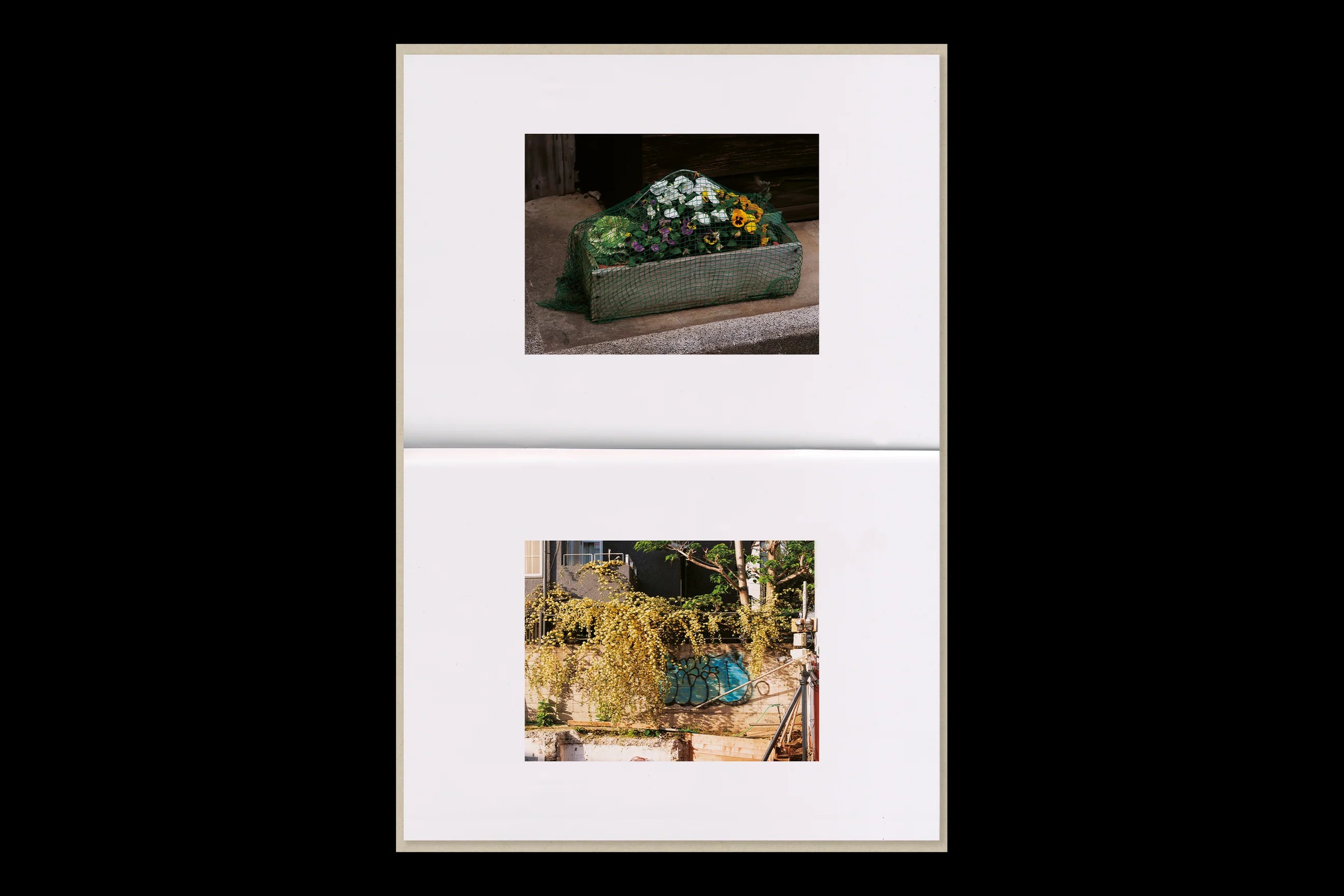 Max Creasy - How Things Look