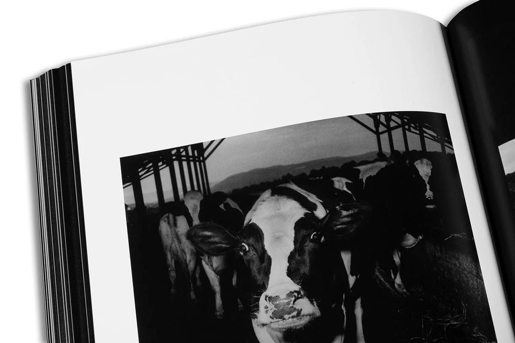 Joel Smith - Hujar:Contact