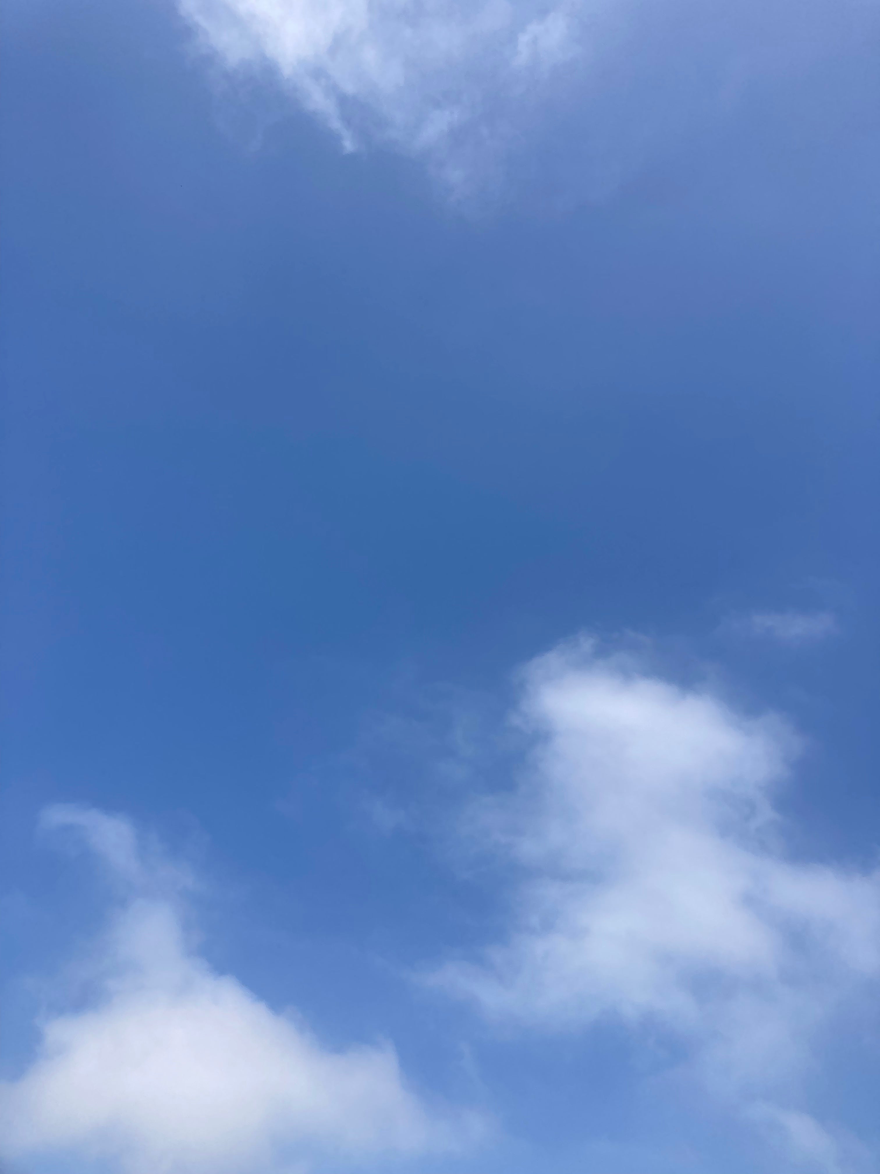 David Horvitz - Yesterday