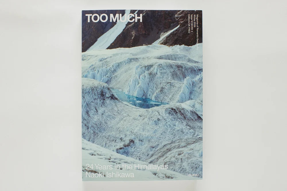 Too Much Magazine - Issue 12