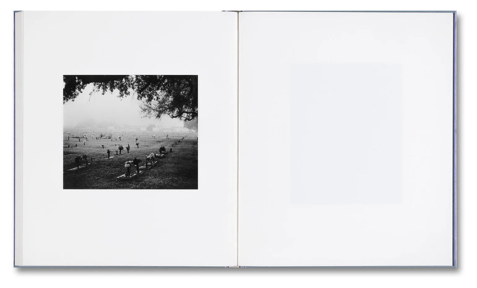 Yorgos Lanthimos - i shall sing these songs beautifully