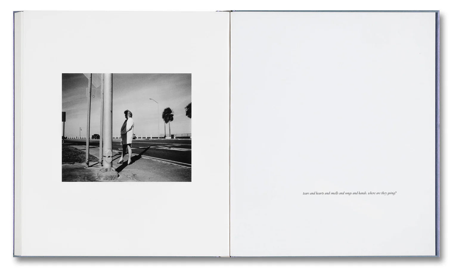 Yorgos Lanthimos - i shall sing these songs beautifully