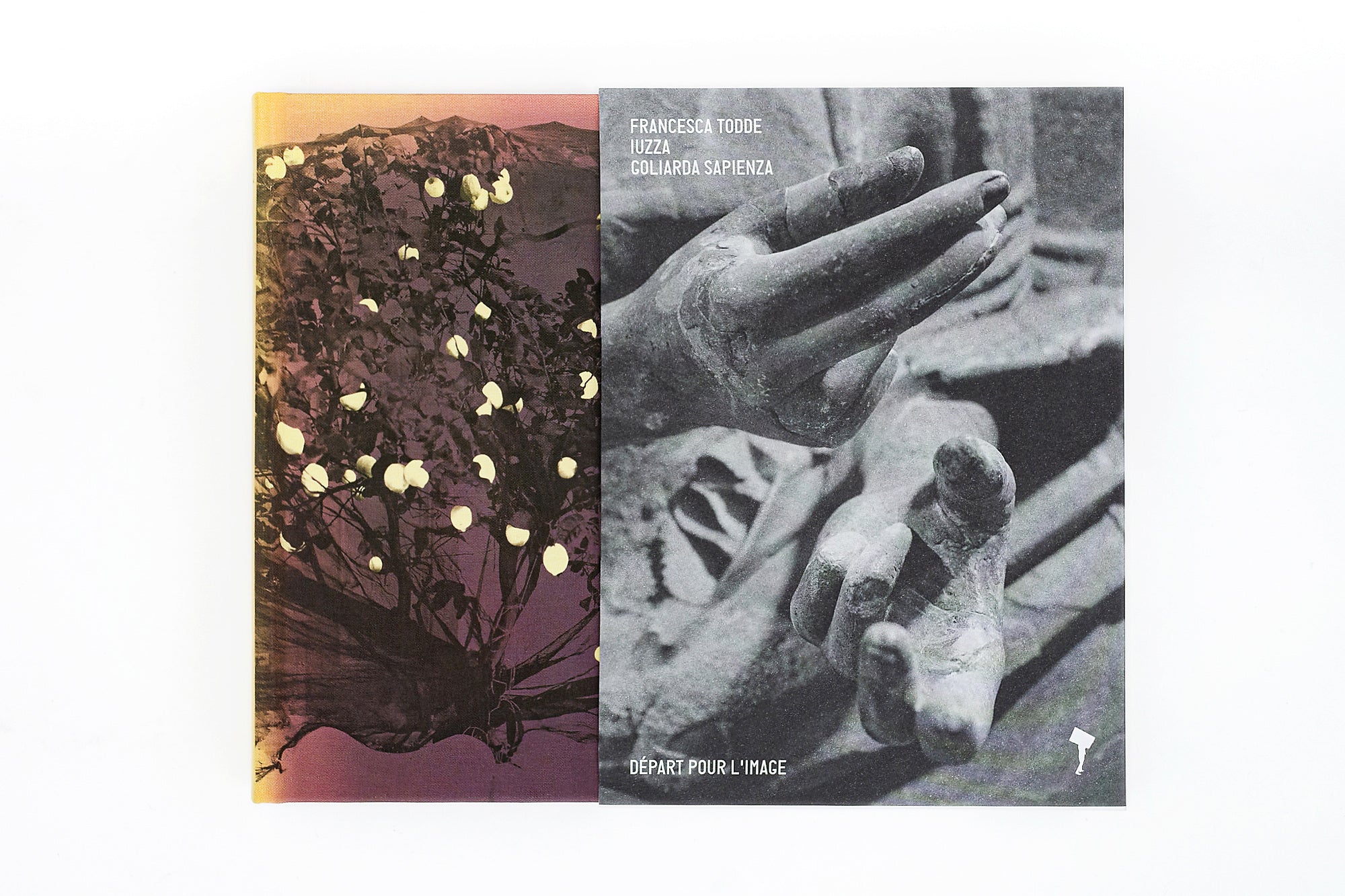 Francesca Todde - IUZZA. Goliarda Sapienza