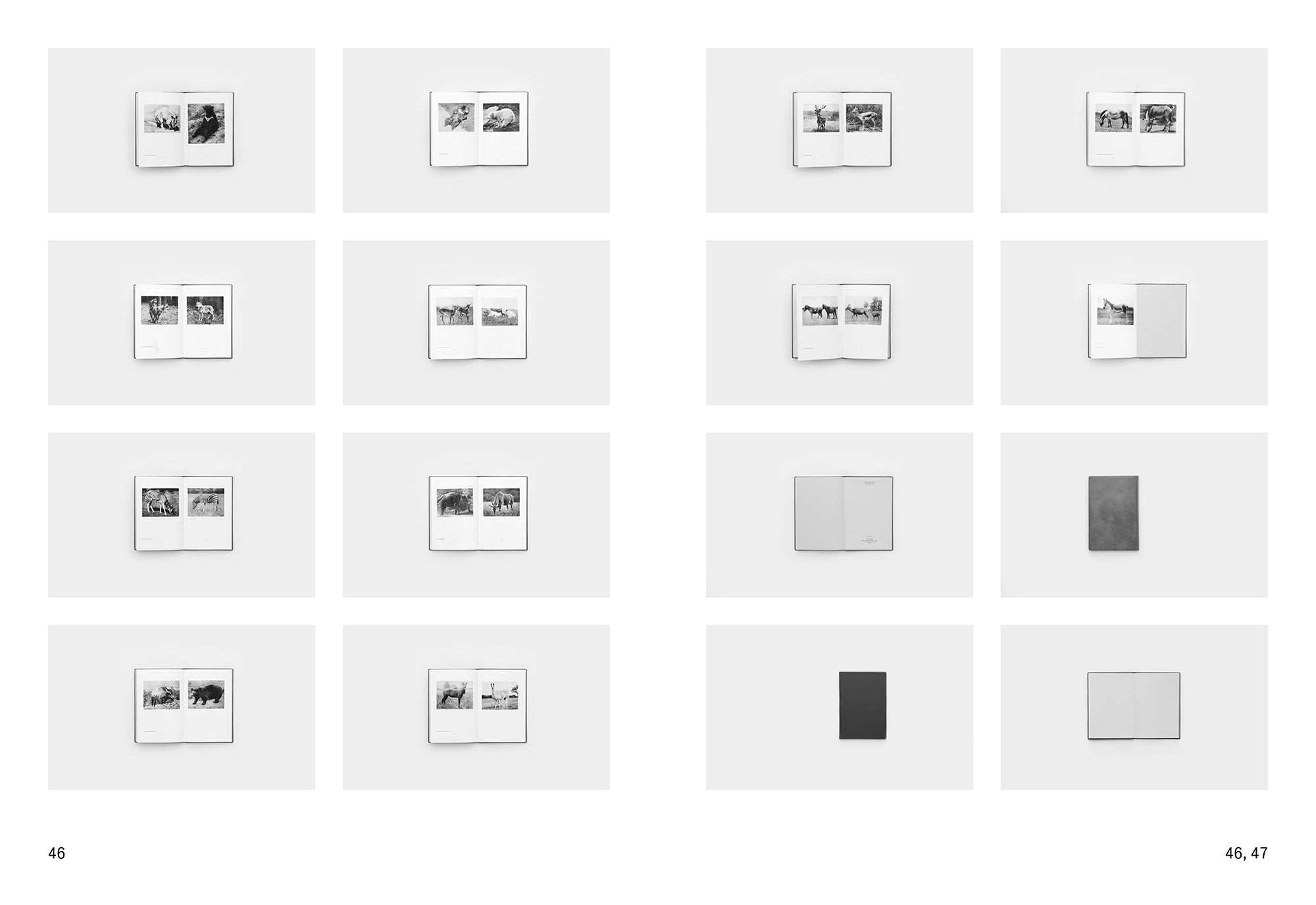 Daniel Gustav Cramer & Haris Epaminonda - The Infinite Library: Books 1-50