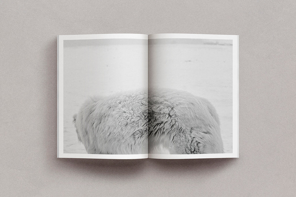 Grégoire Eloy - Brume