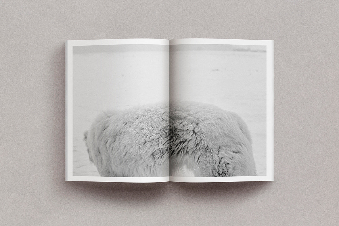 Grégoire Eloy - Brume