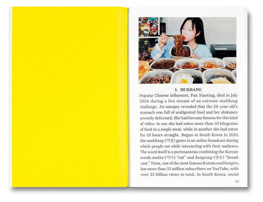 Francesco Jodice & Francesco Zanot - Irrational: A Visual Directory to a World with No Reason