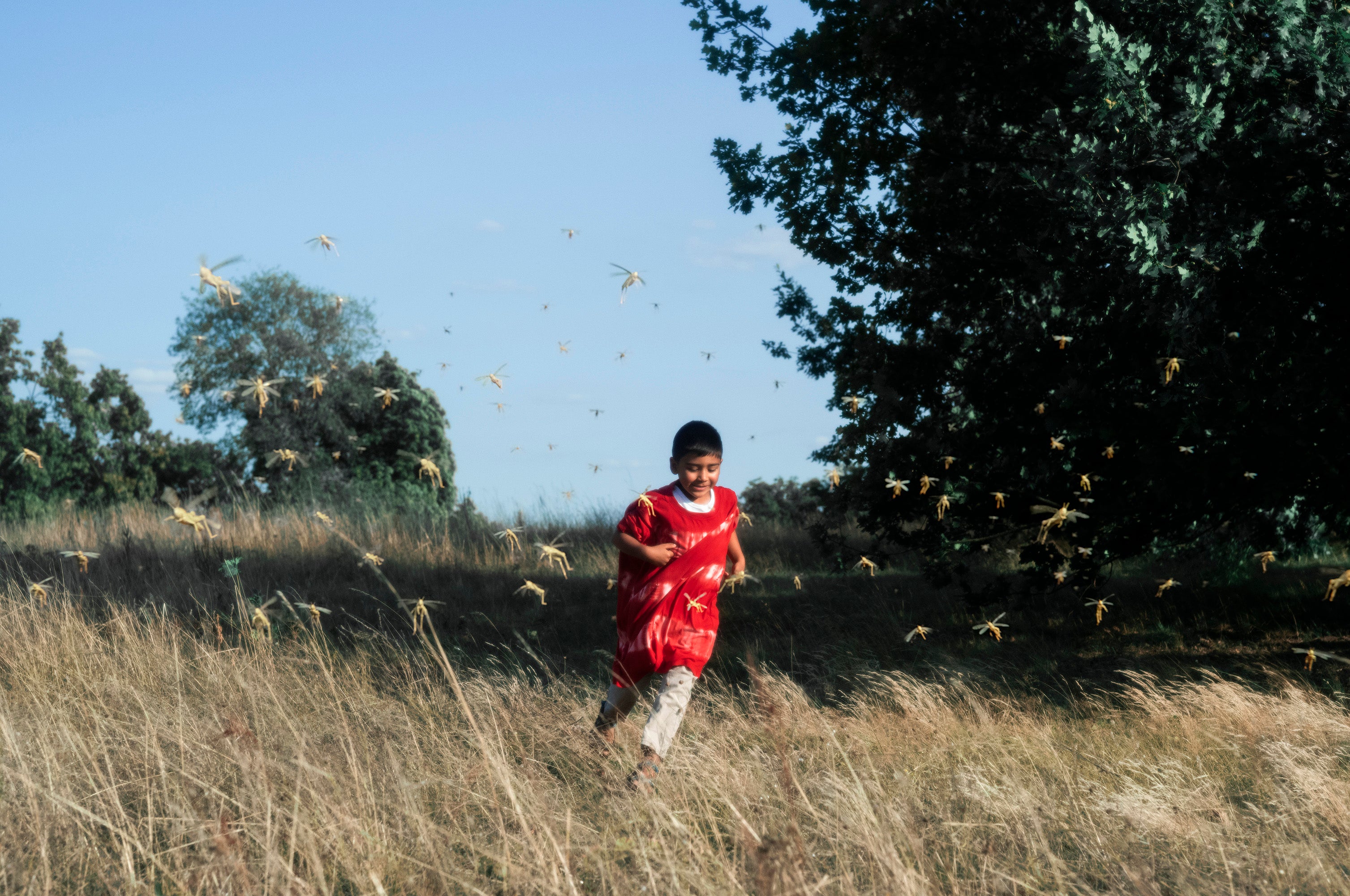 Jonas Lindstroem - 2020-2024, Untitled, Believe (JL#042)