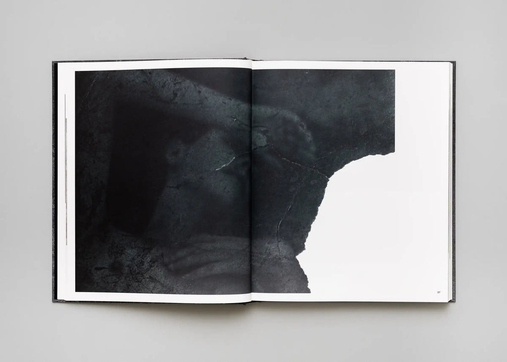 Stéphan Crasneanscki, Patti Smith, Philippe Grandrieux - Medea