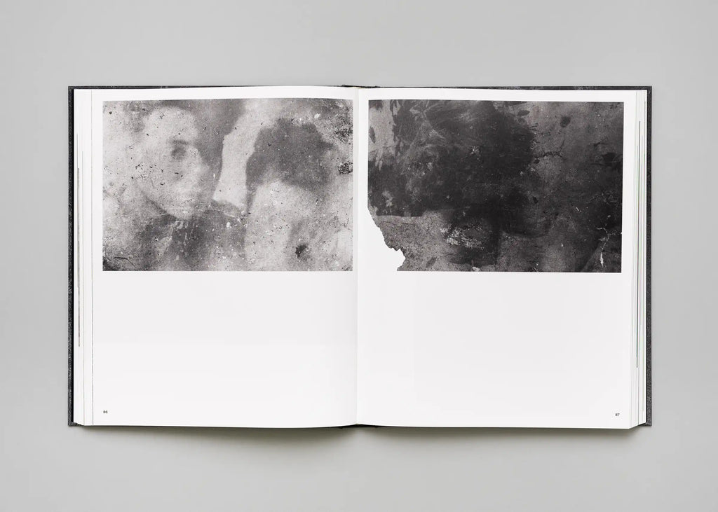 Stéphan Crasneanscki, Patti Smith, Philippe Grandrieux - Medea