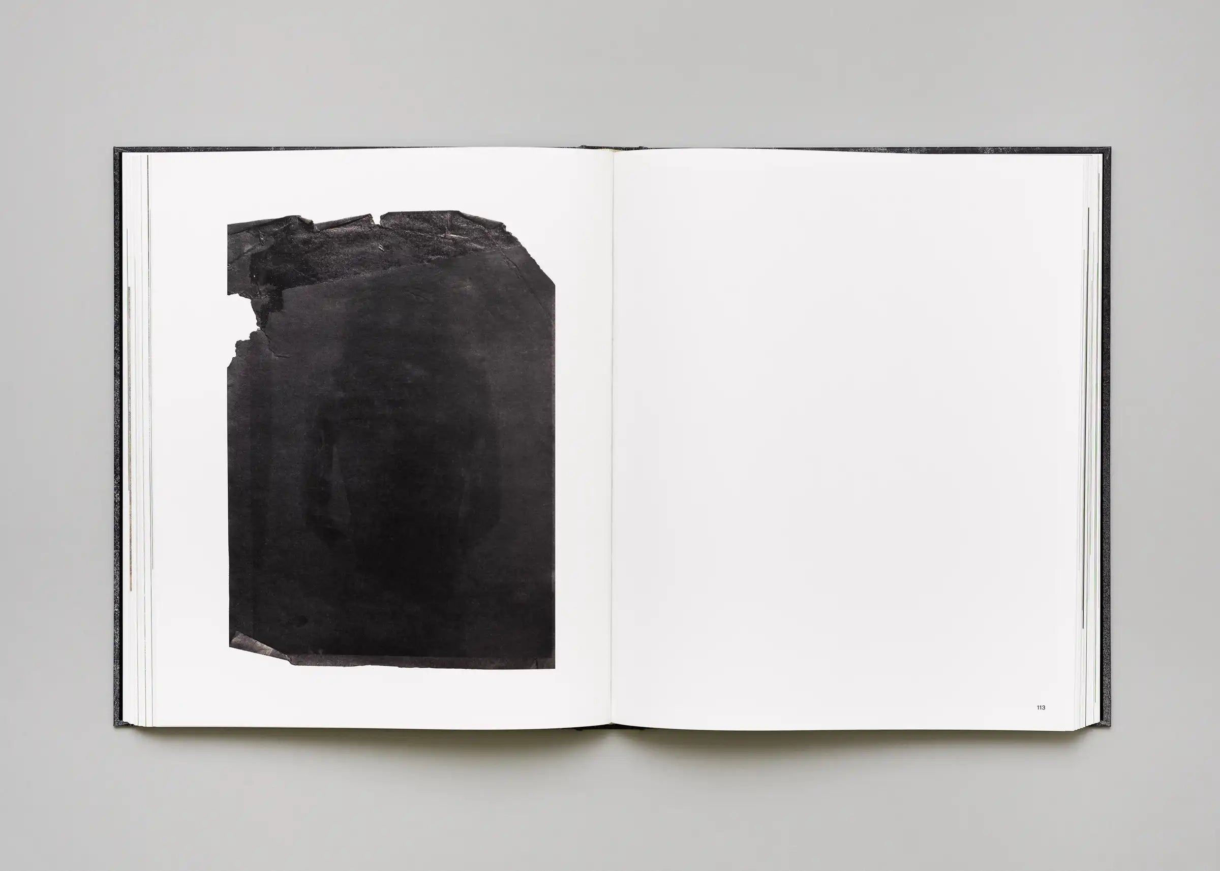 Stéphan Crasneanscki, Patti Smith, Philippe Grandrieux - Medea