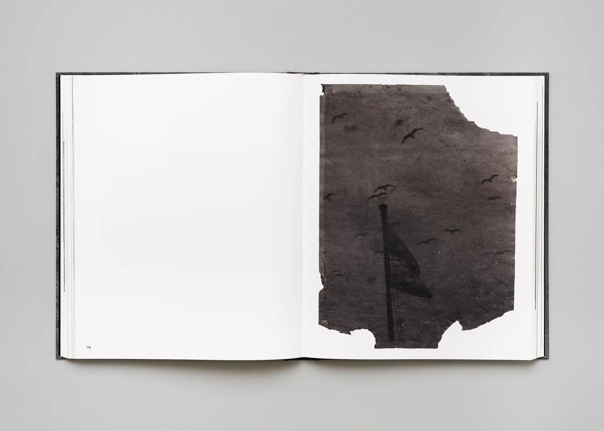 Stéphan Crasneanscki, Patti Smith, Philippe Grandrieux - Medea