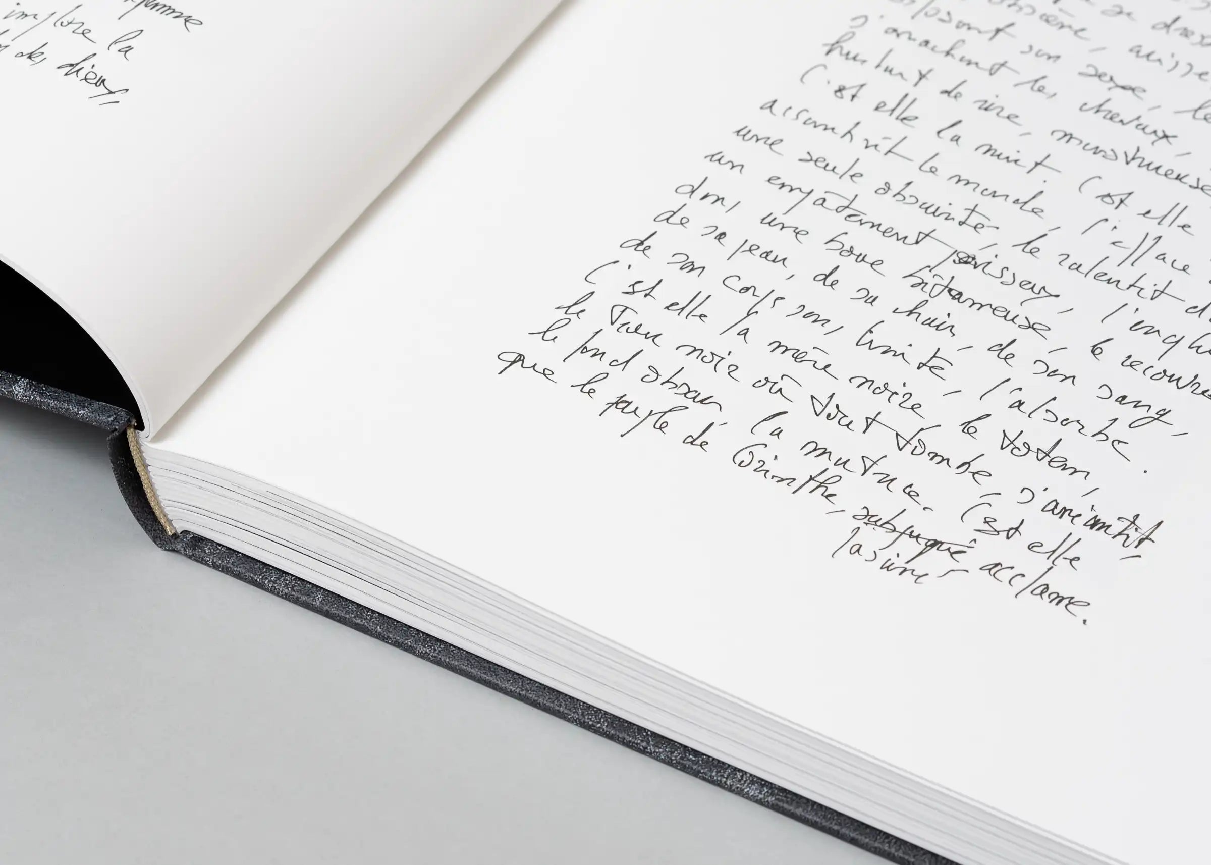 Stéphan Crasneanscki, Patti Smith, Philippe Grandrieux - Medea