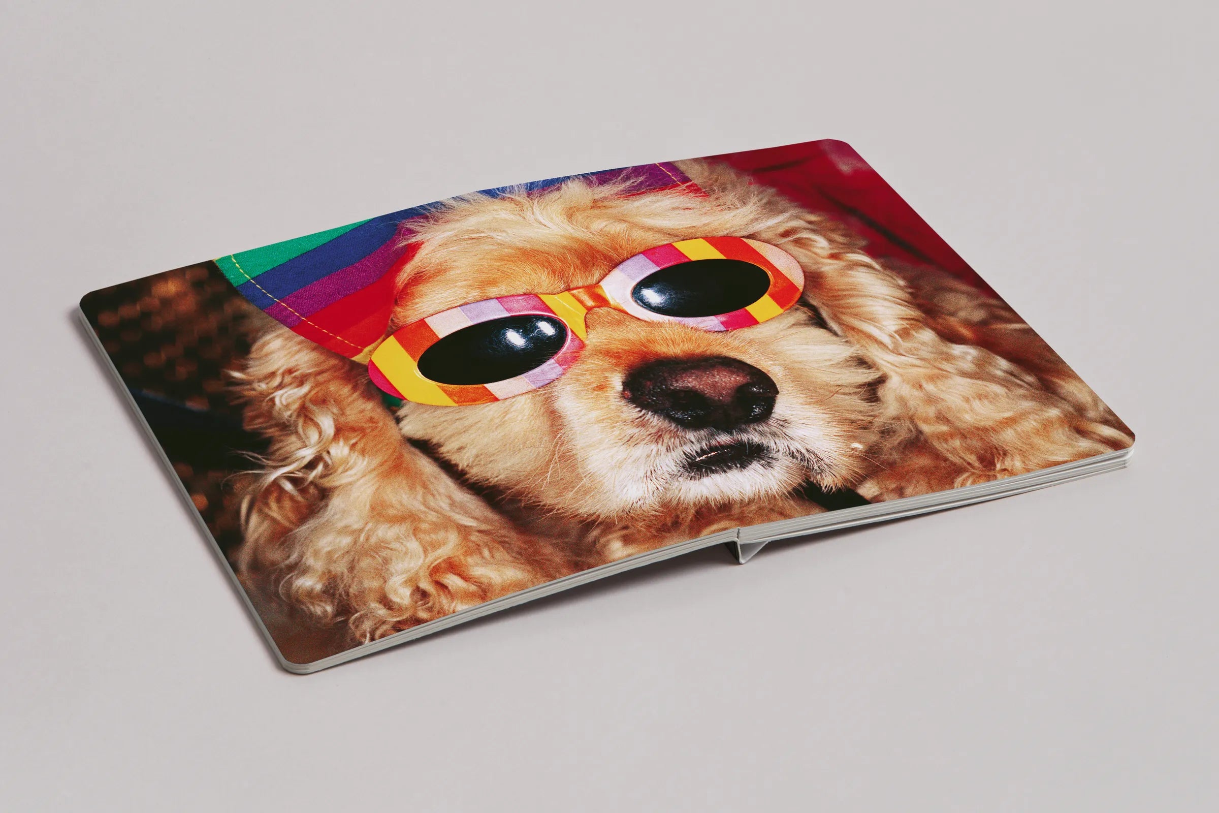 Martin Parr - Animals