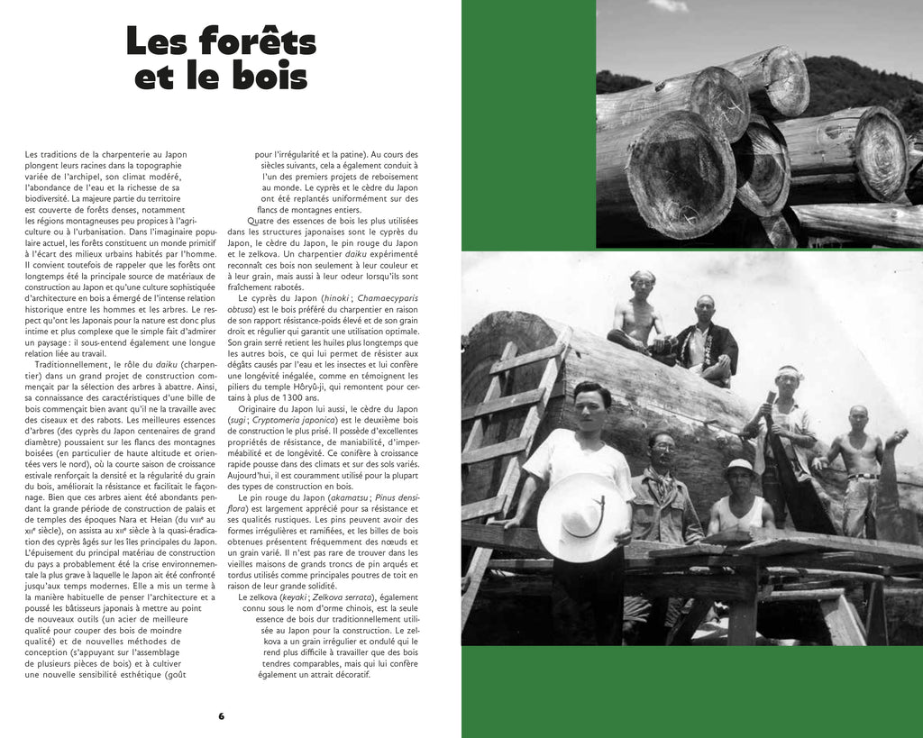 L'art des charpentiers japonais - Au cœur de l'architecture en bois traditionnelle