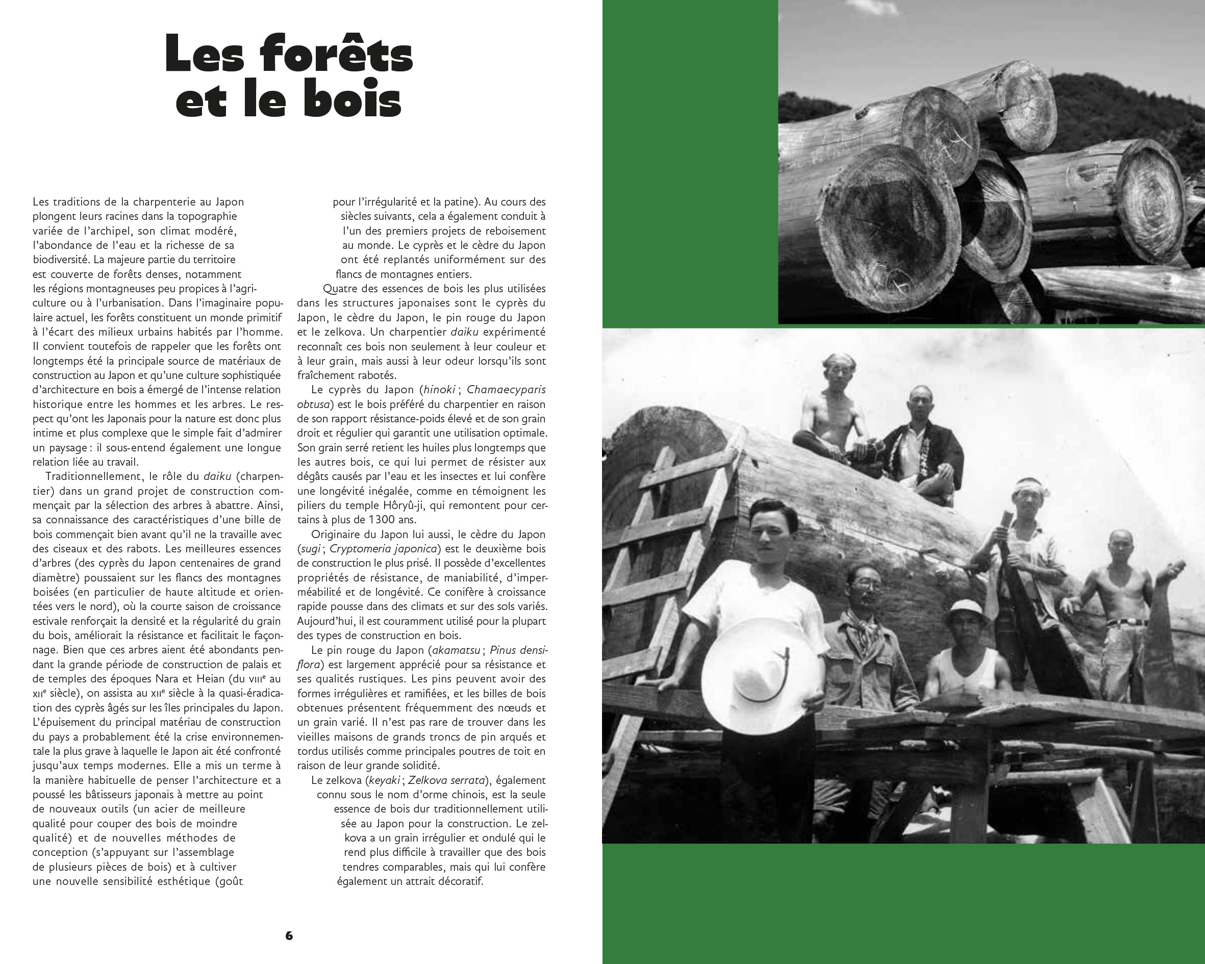 L'art des charpentiers japonais - Au cœur de l'architecture en bois traditionnelle