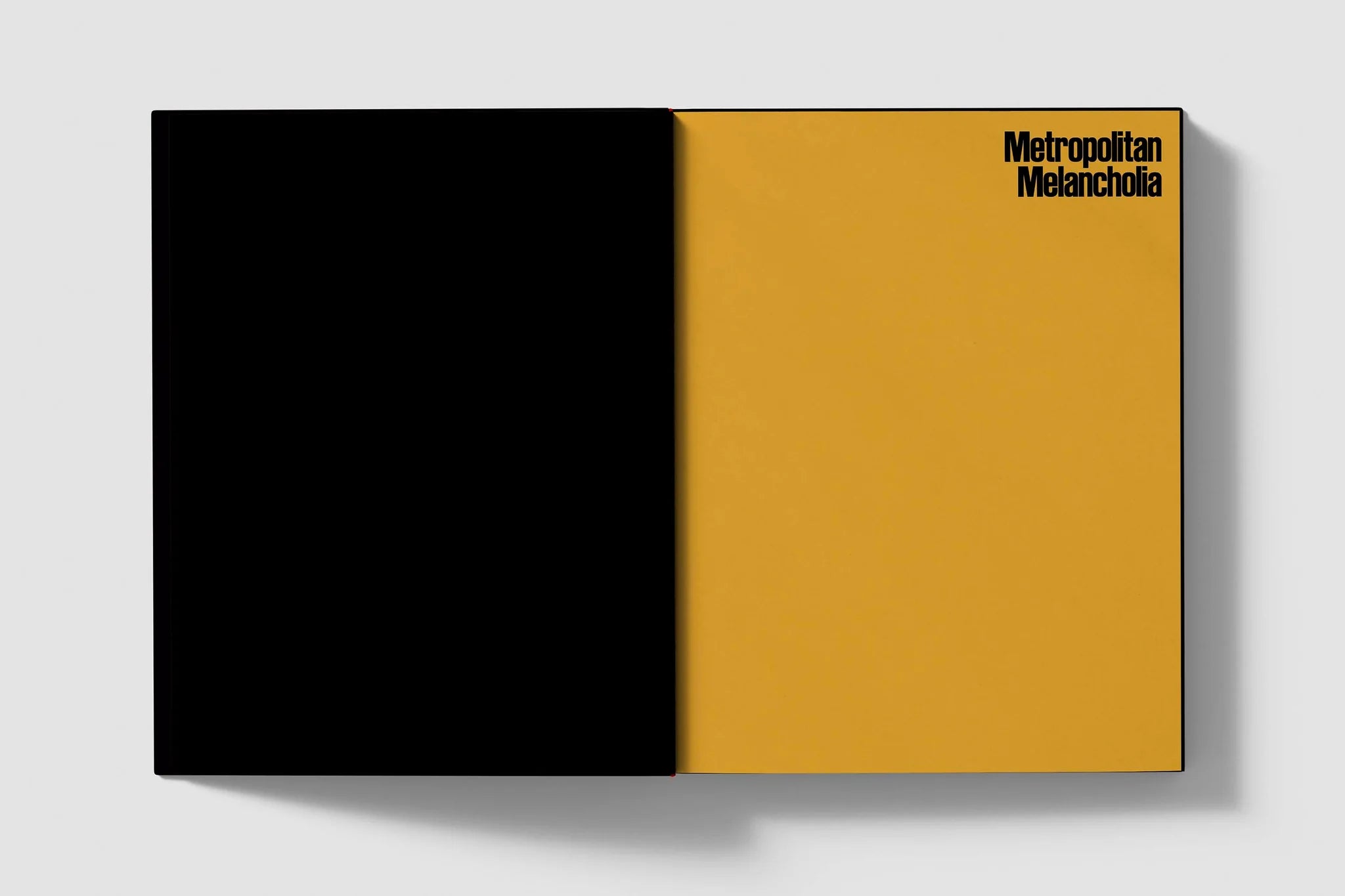 洋書 Sarah van Rij /Metropolitan Melancholia Photo book 'Metropolitan Melancholia'