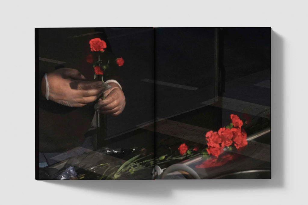 Sarah van Rij & David van der Leeuw - Metropolitan Melancholia