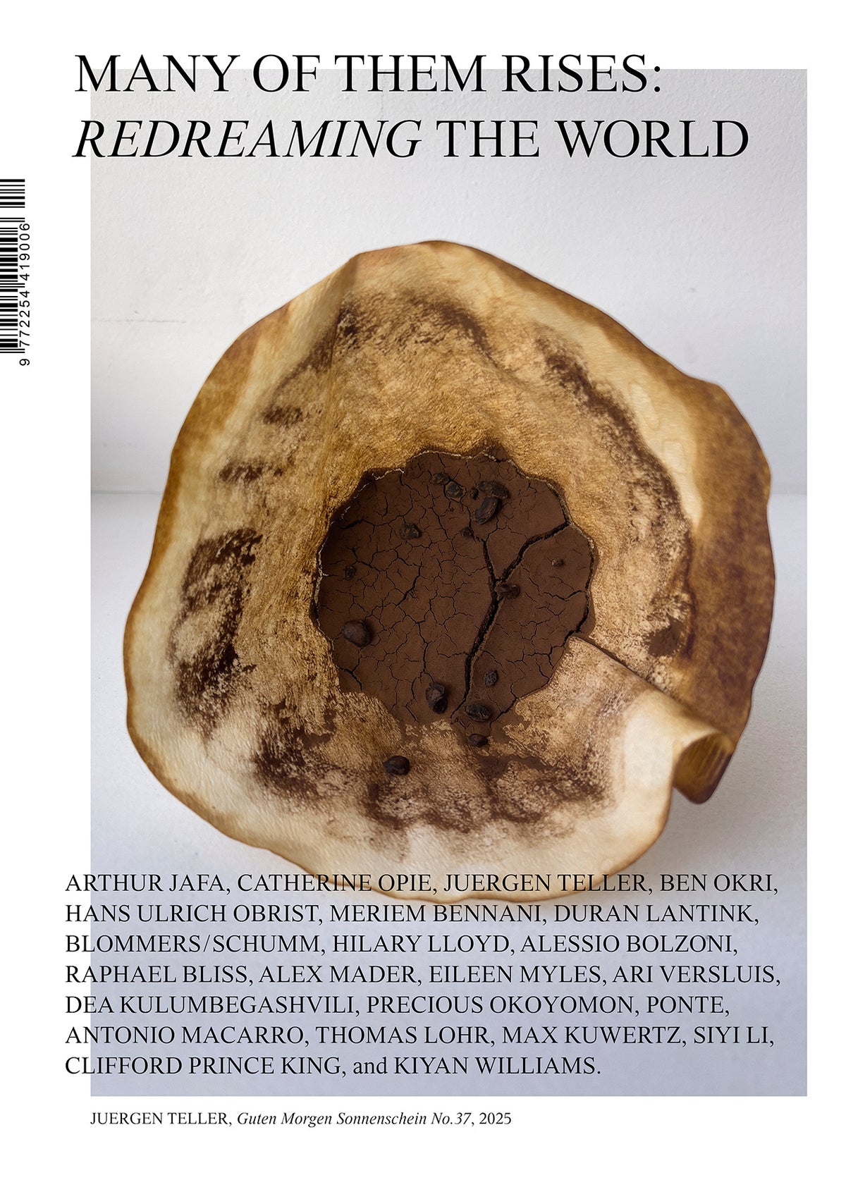 MANY OF THEM - Issue 12