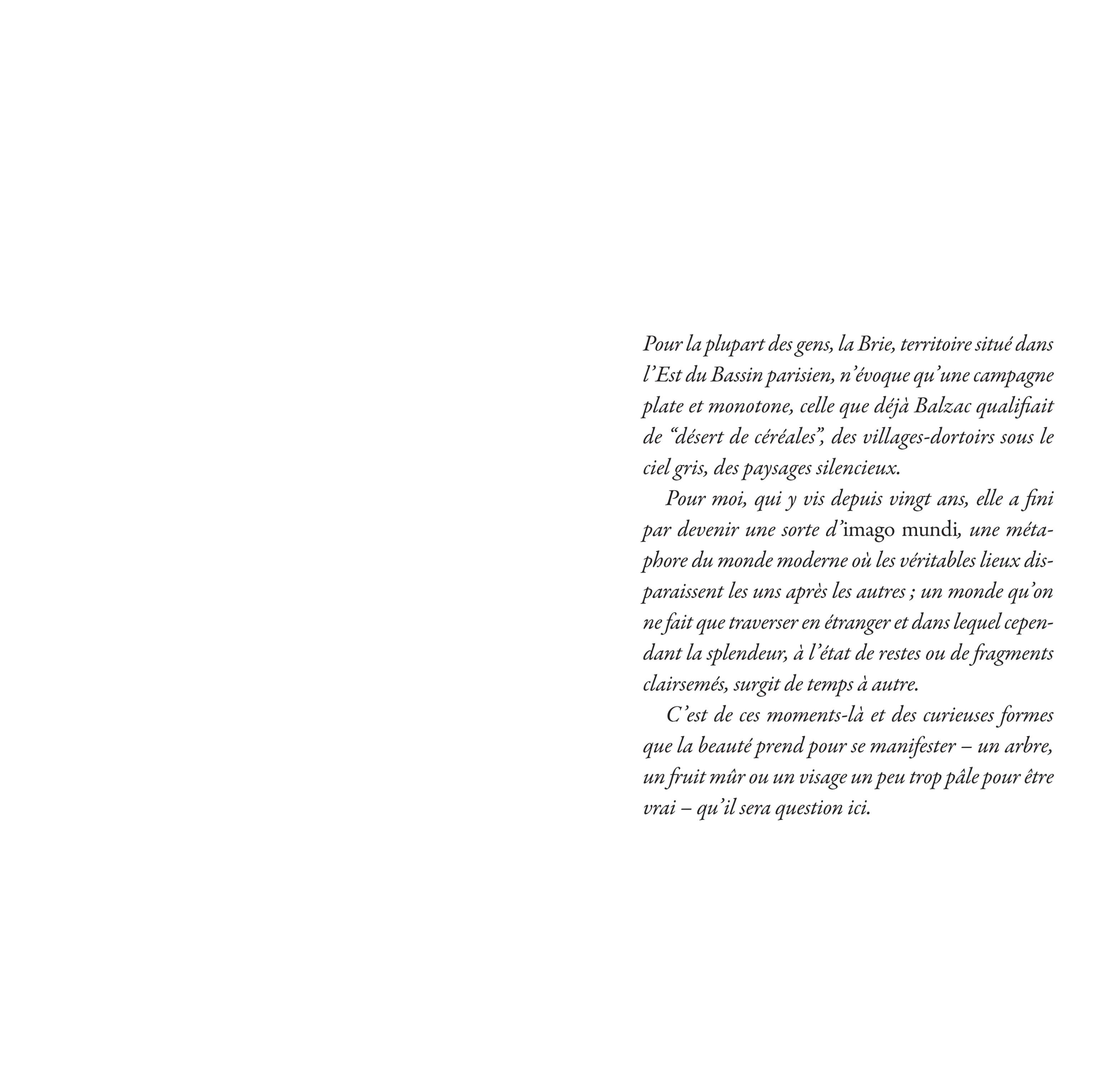 Marco Martella - Les fruits du myrobolan