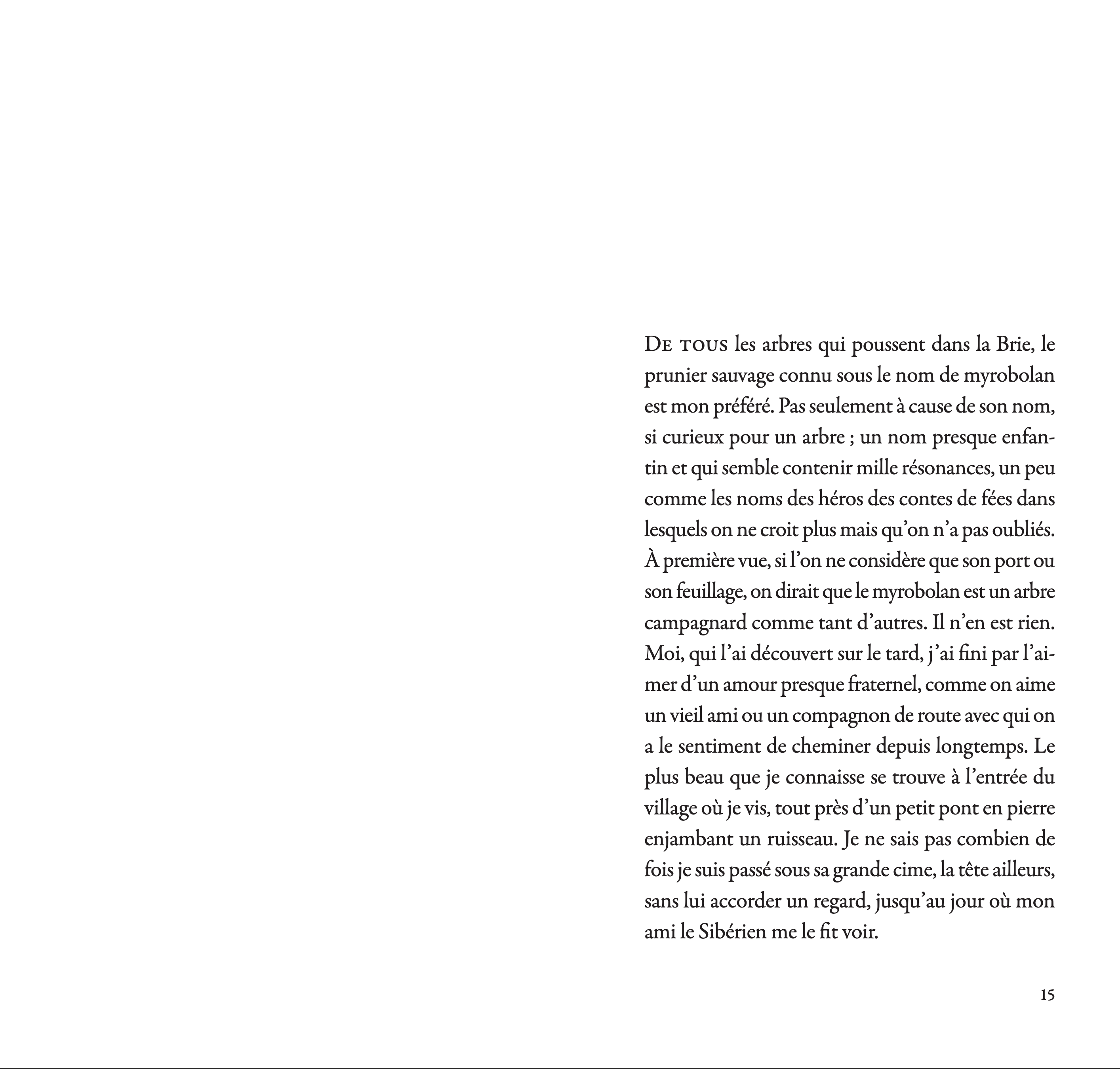 Marco Martella - Les fruits du myrobolan