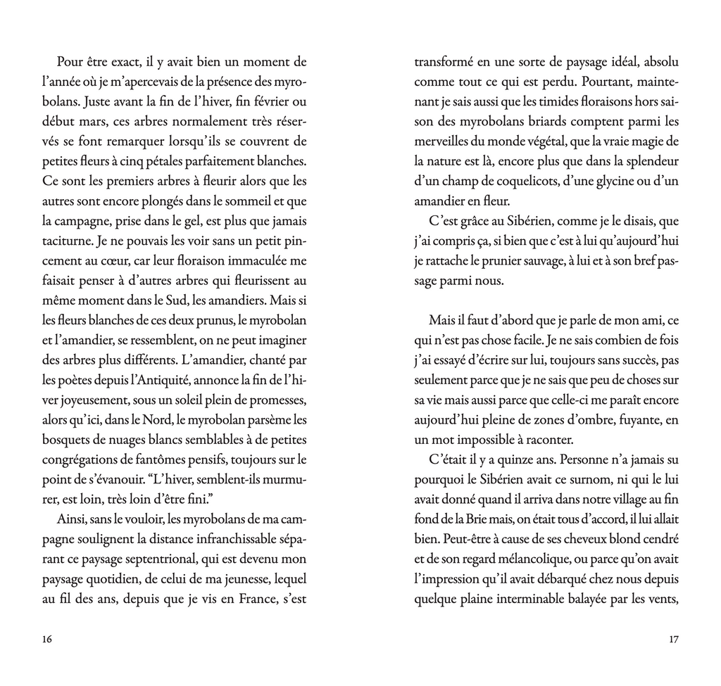 Marco Martella - Les fruits du myrobolan