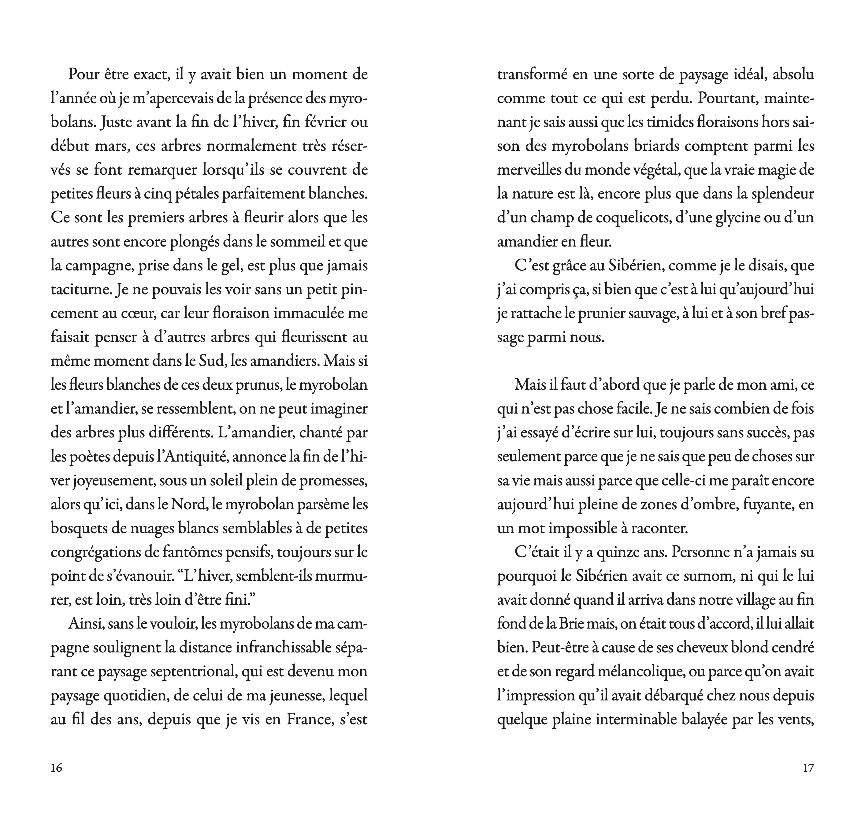 Marco Martella - Les fruits du myrobolan