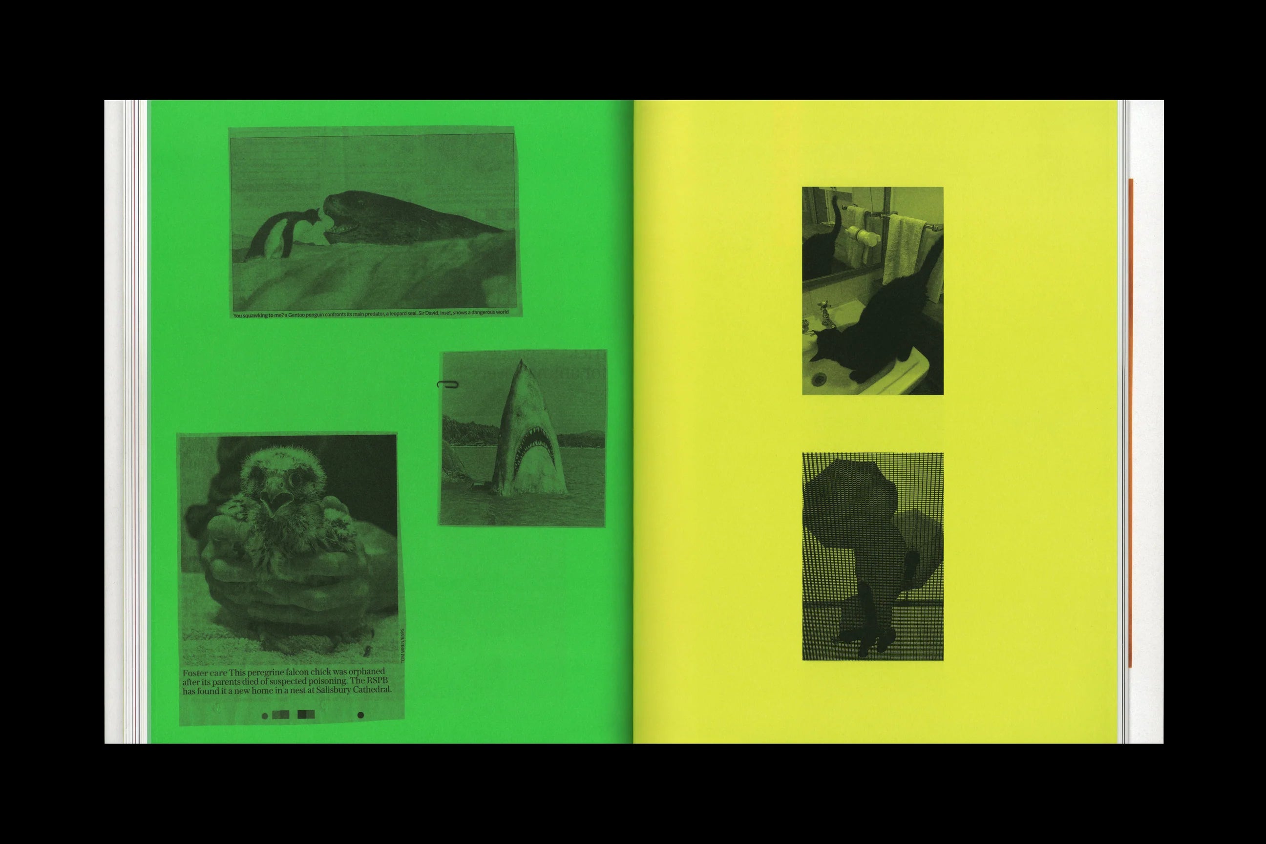 Marton Perlaki - The Third Hand