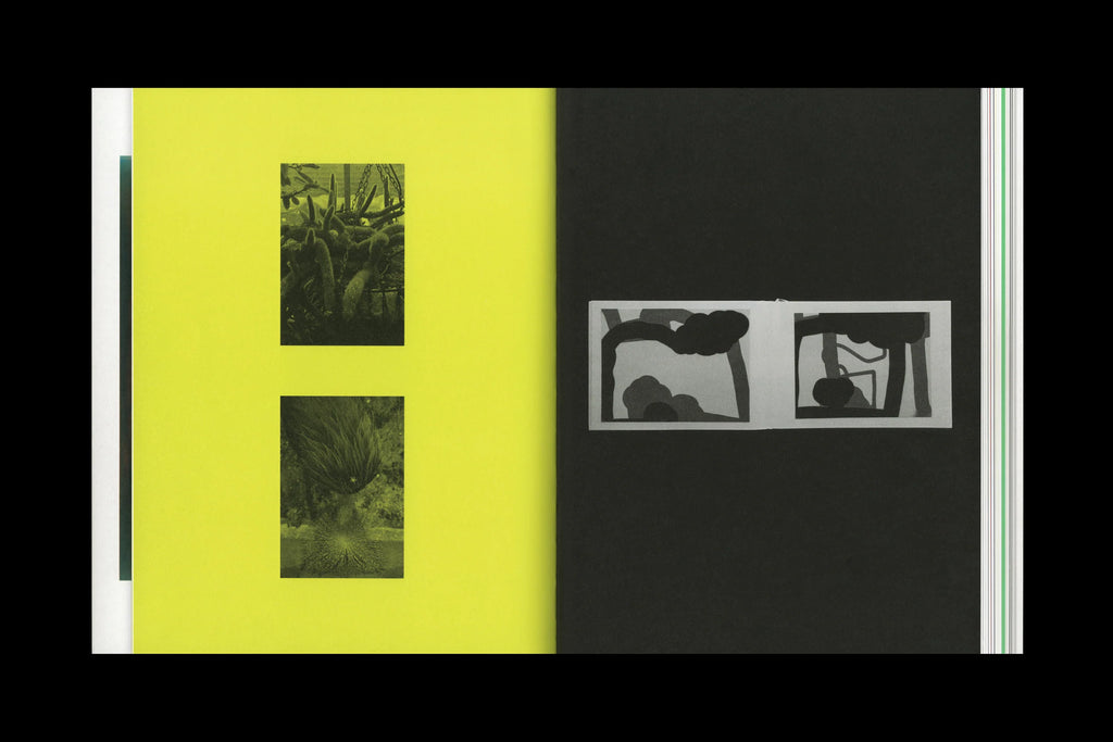 Marton Perlaki - The Third Hand