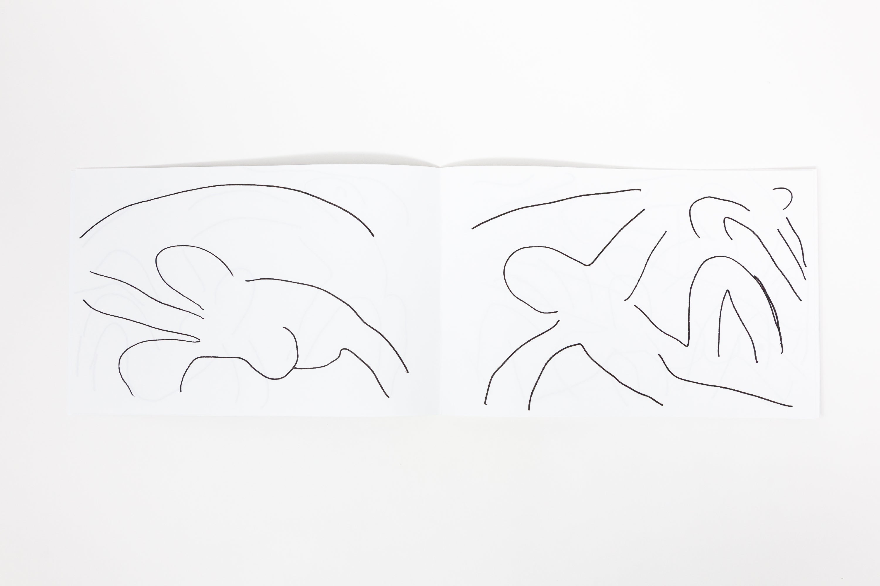 Masanao Hirayama - Matisse