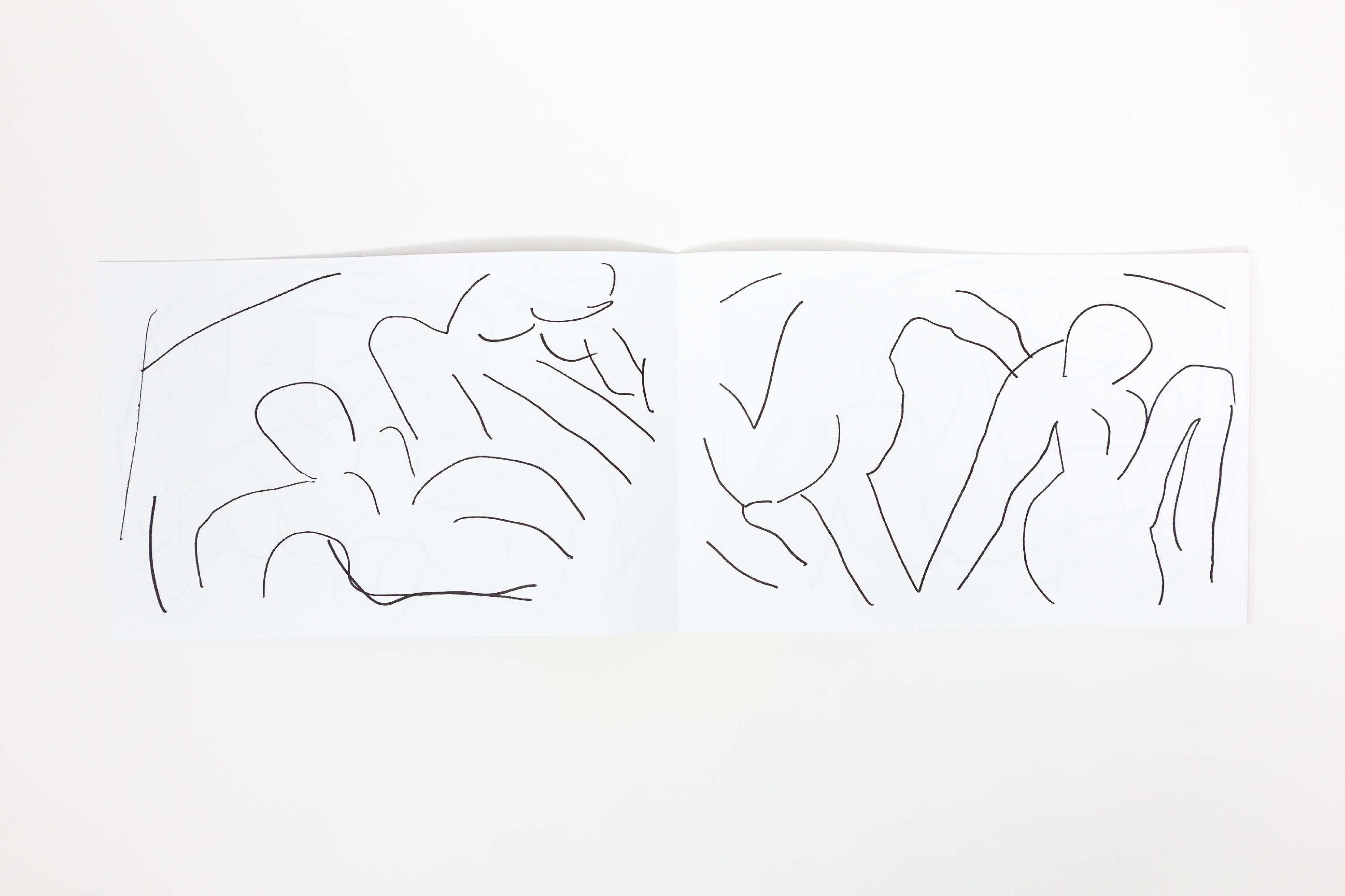 Masanao Hirayama - Matisse