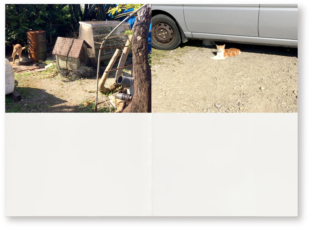 Masanao Hirayama - 2018 (平山昌尚)