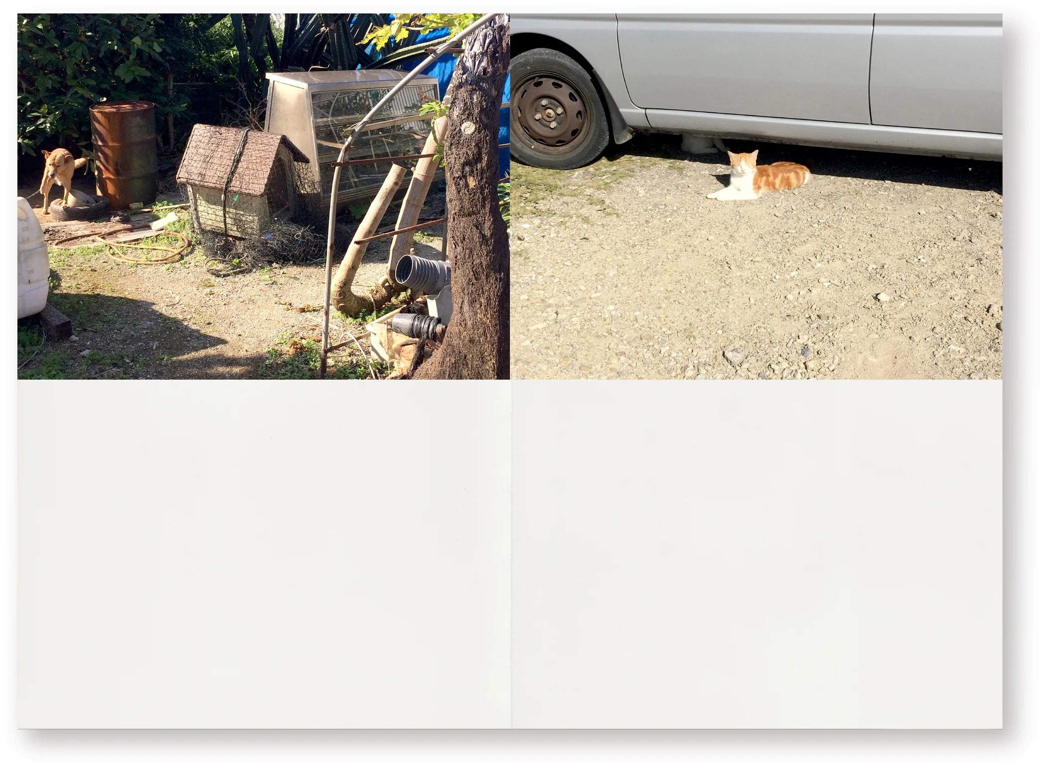 Masanao Hirayama - 2018 (平山昌尚)