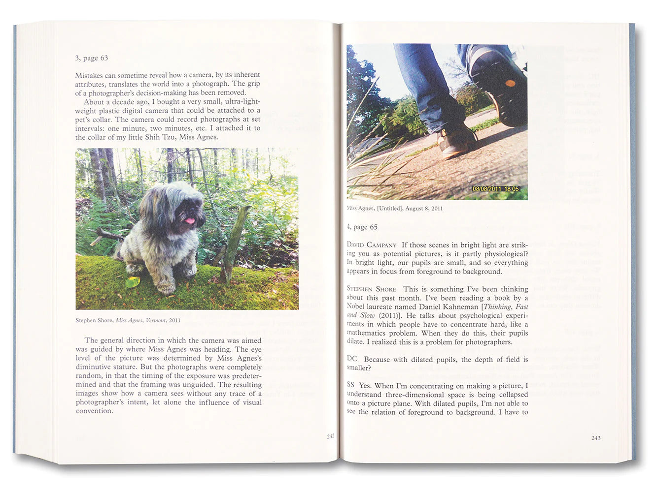 Stephen Shore - Modern Instances: The Craft of Photography