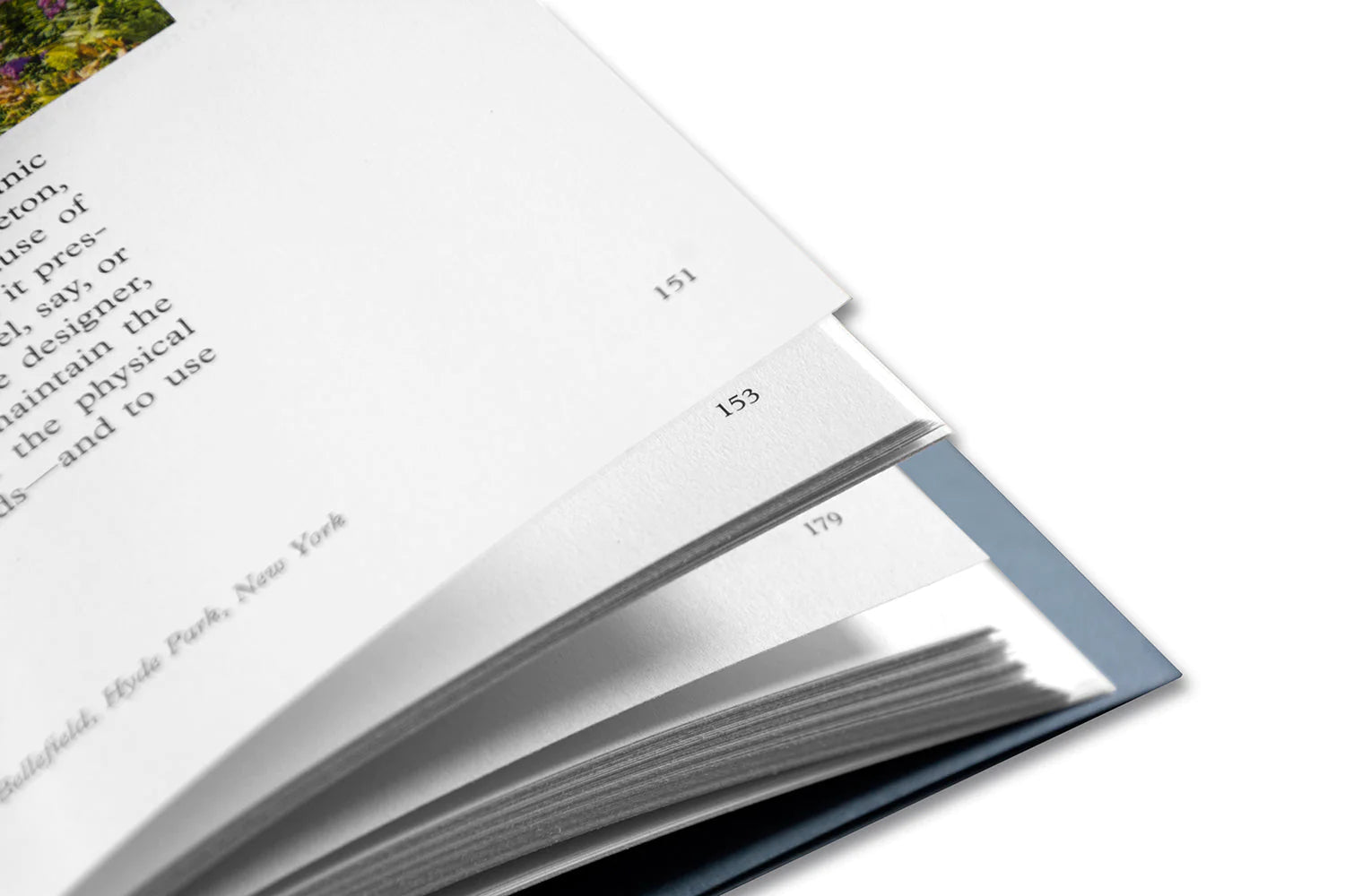 Stephen Shore - Modern Instances: The Craft of Photography