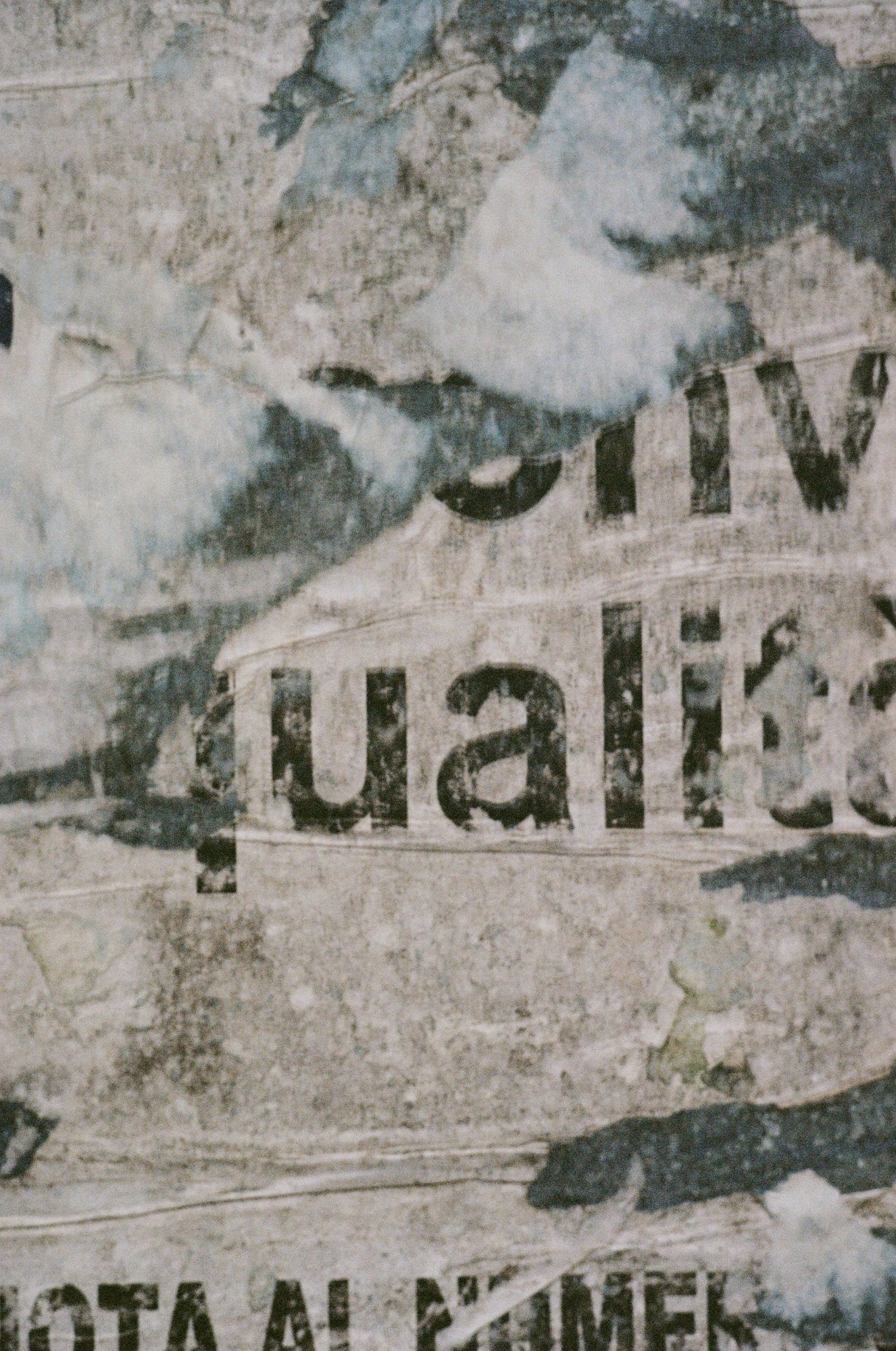 Jun Iwasaki - Muro in Siena, 2024