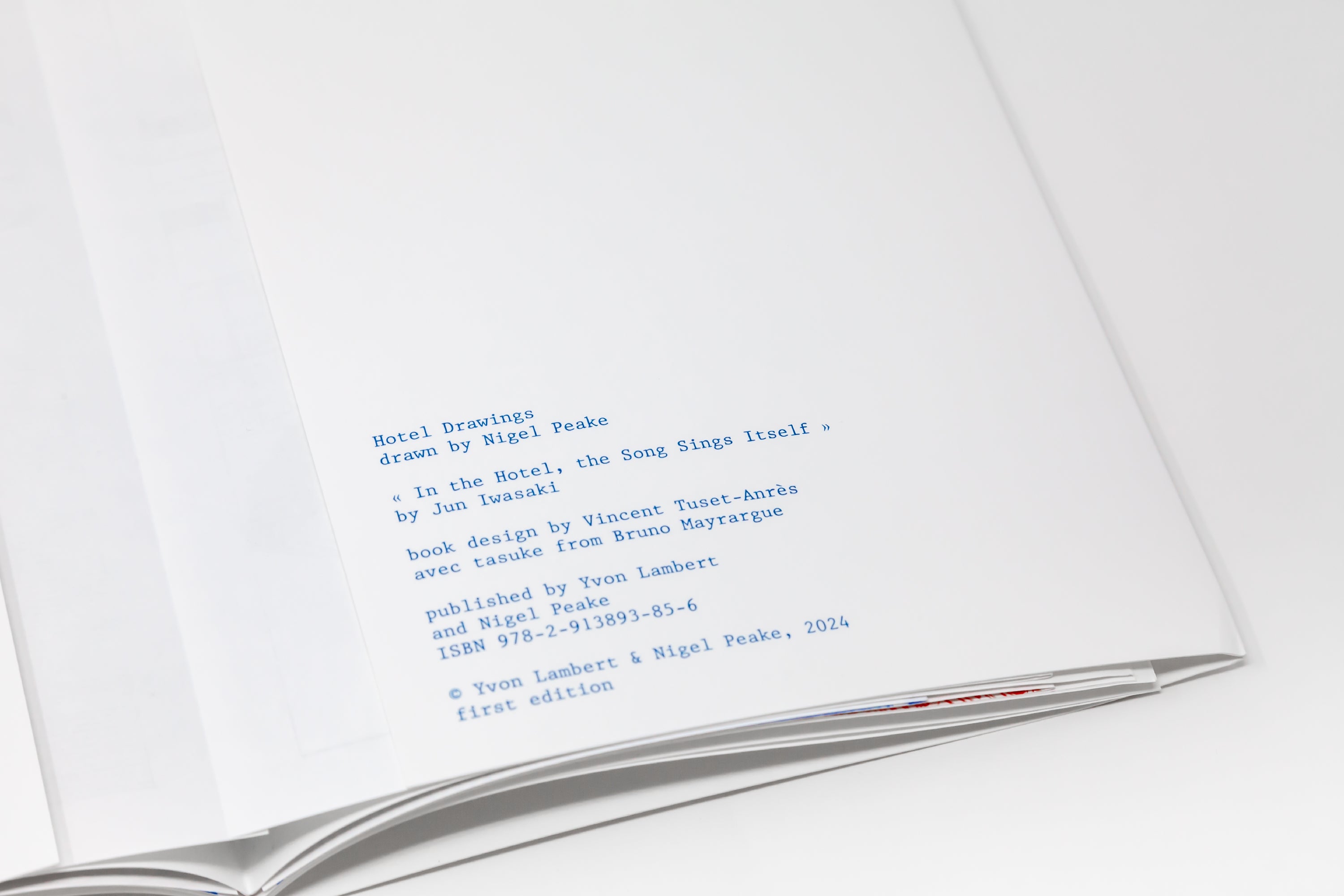 Nigel Peake - Hotel Drawings