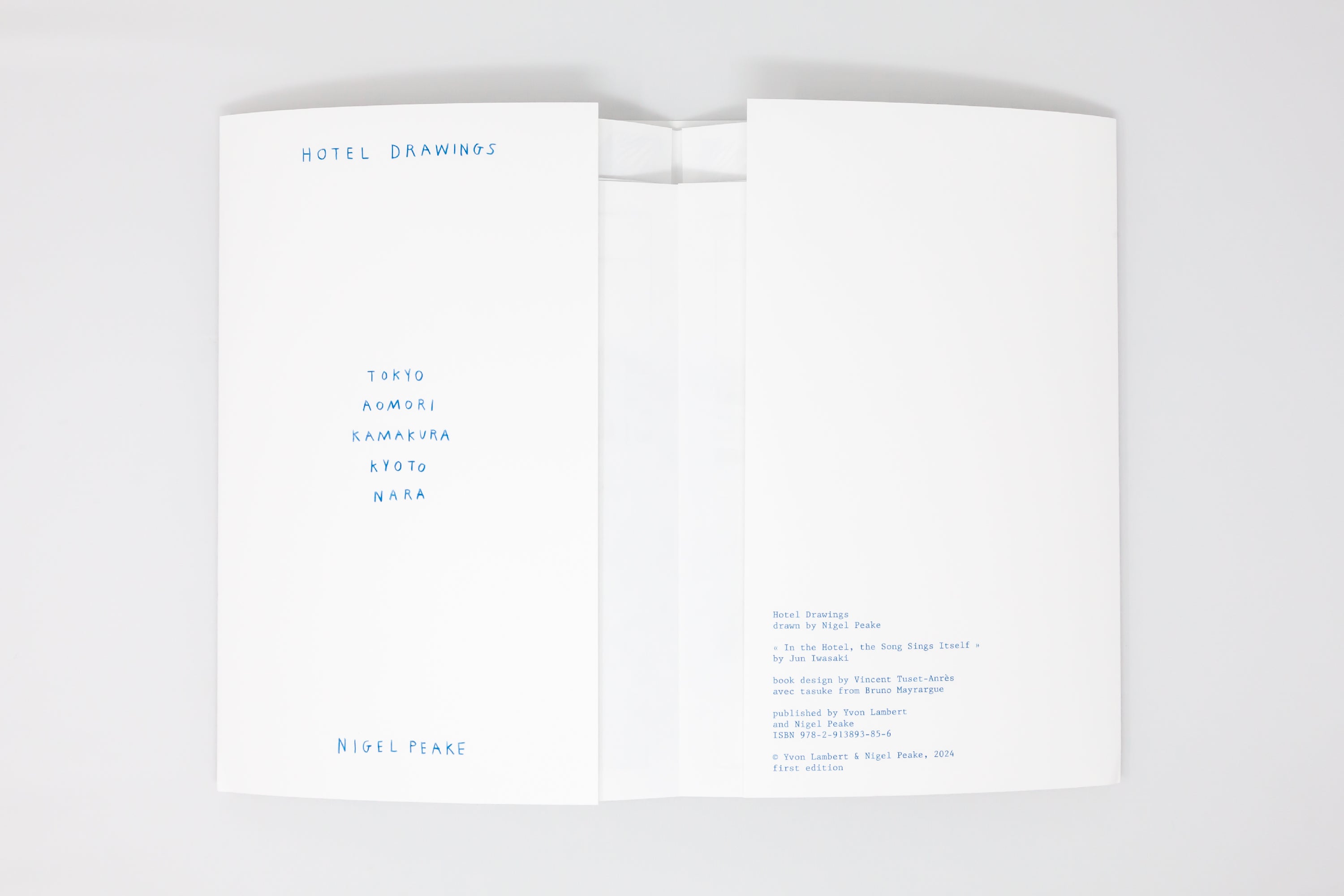 Nigel Peake - Hotel Drawings