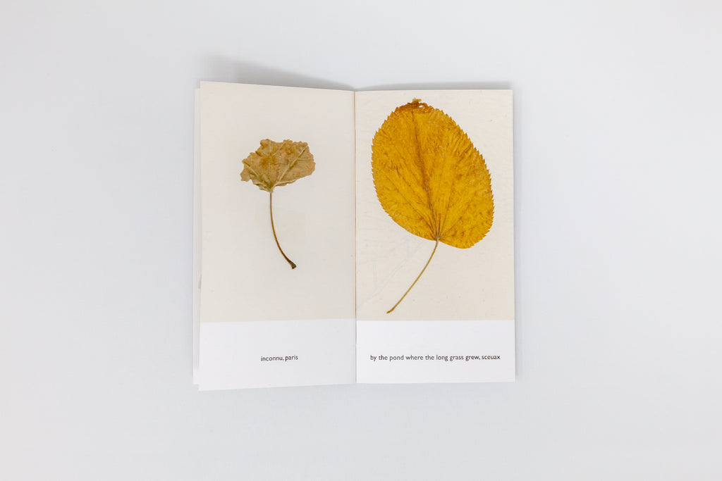 Nigel Peake - The Sound of a Leaf Falling