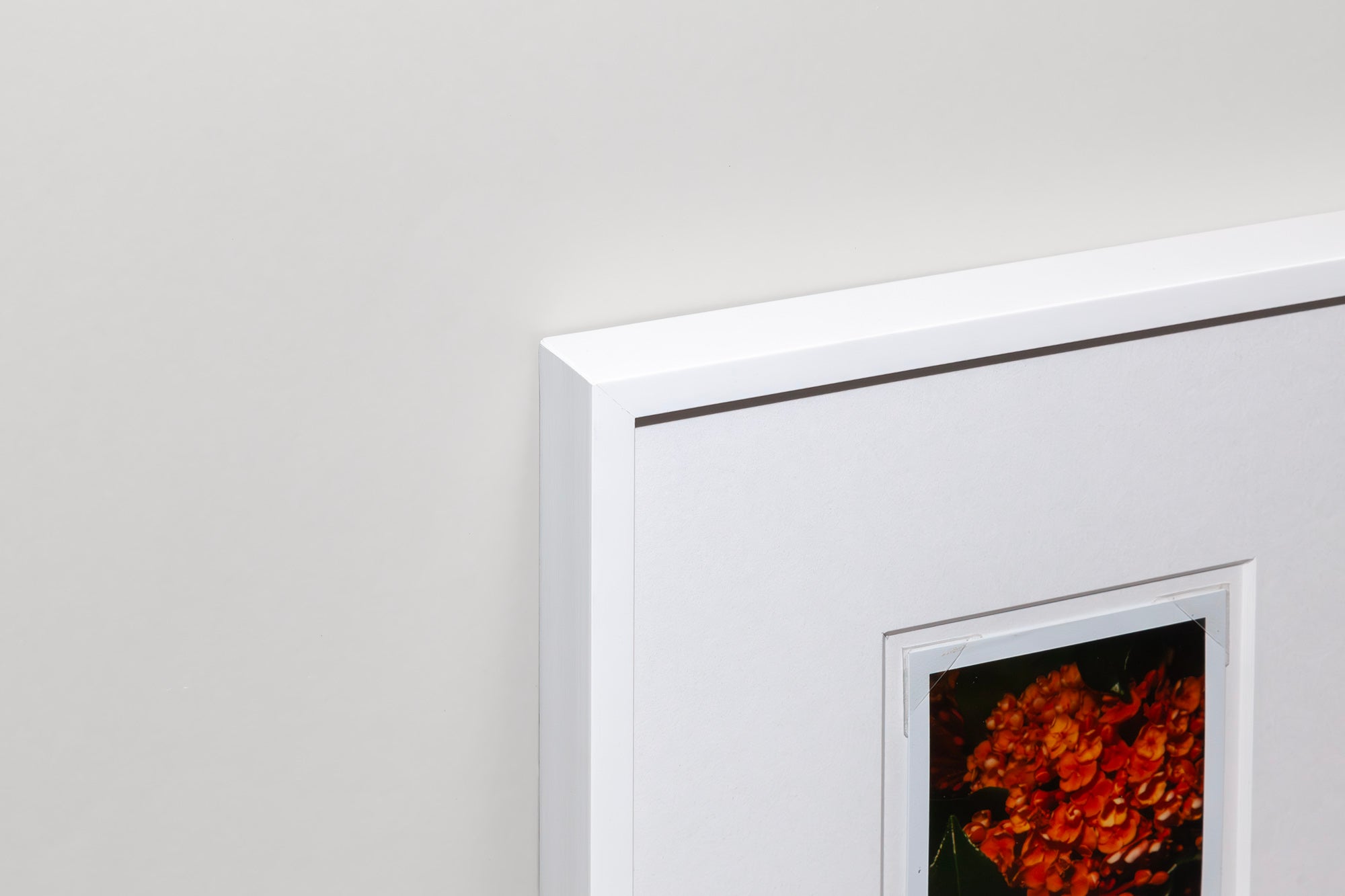 Nobuyoshi Araki <br><em>Arakiri</em>, 2014