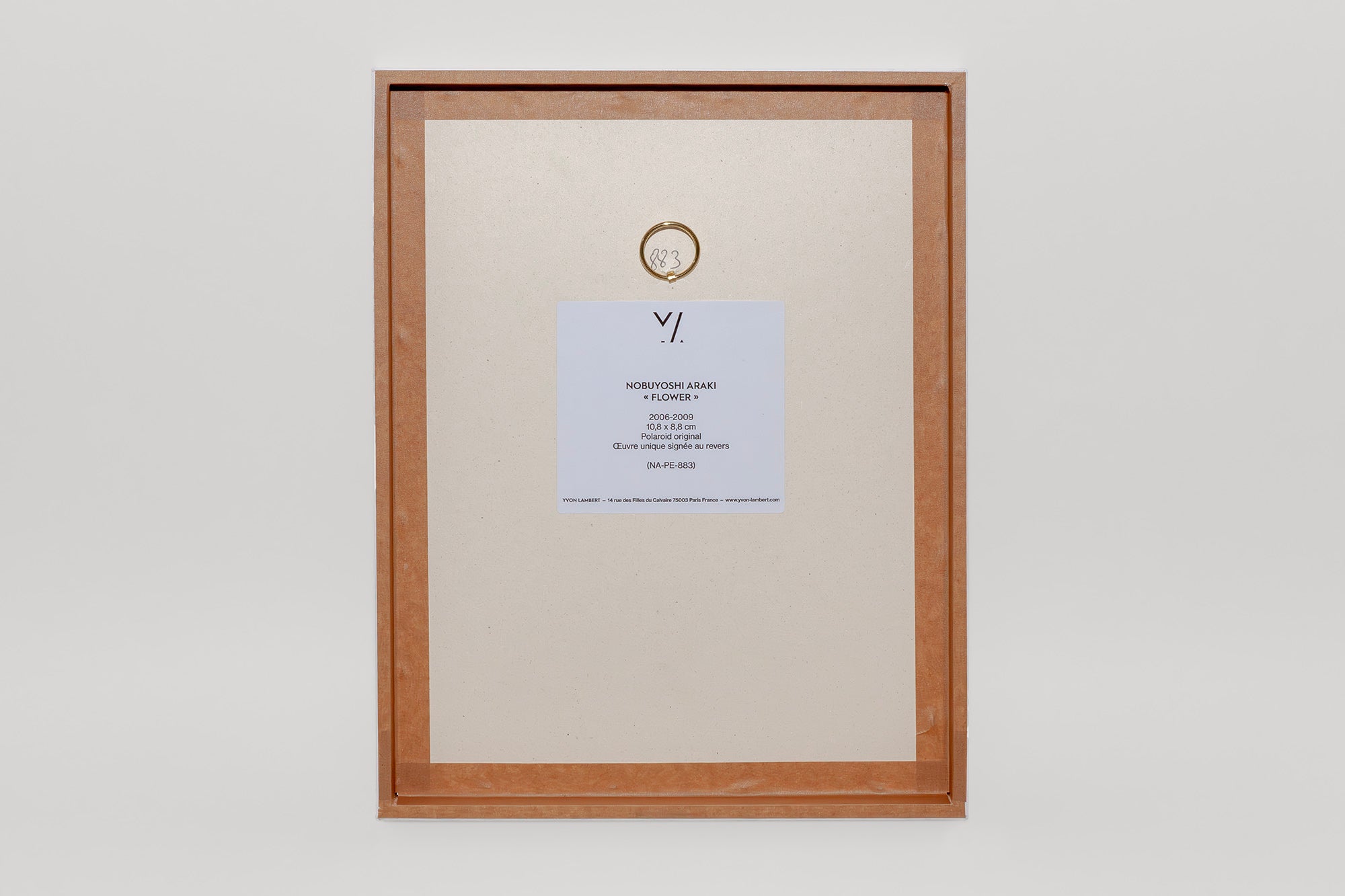 Nobuyoshi Araki <br><em>Arakiri</em>, 2014