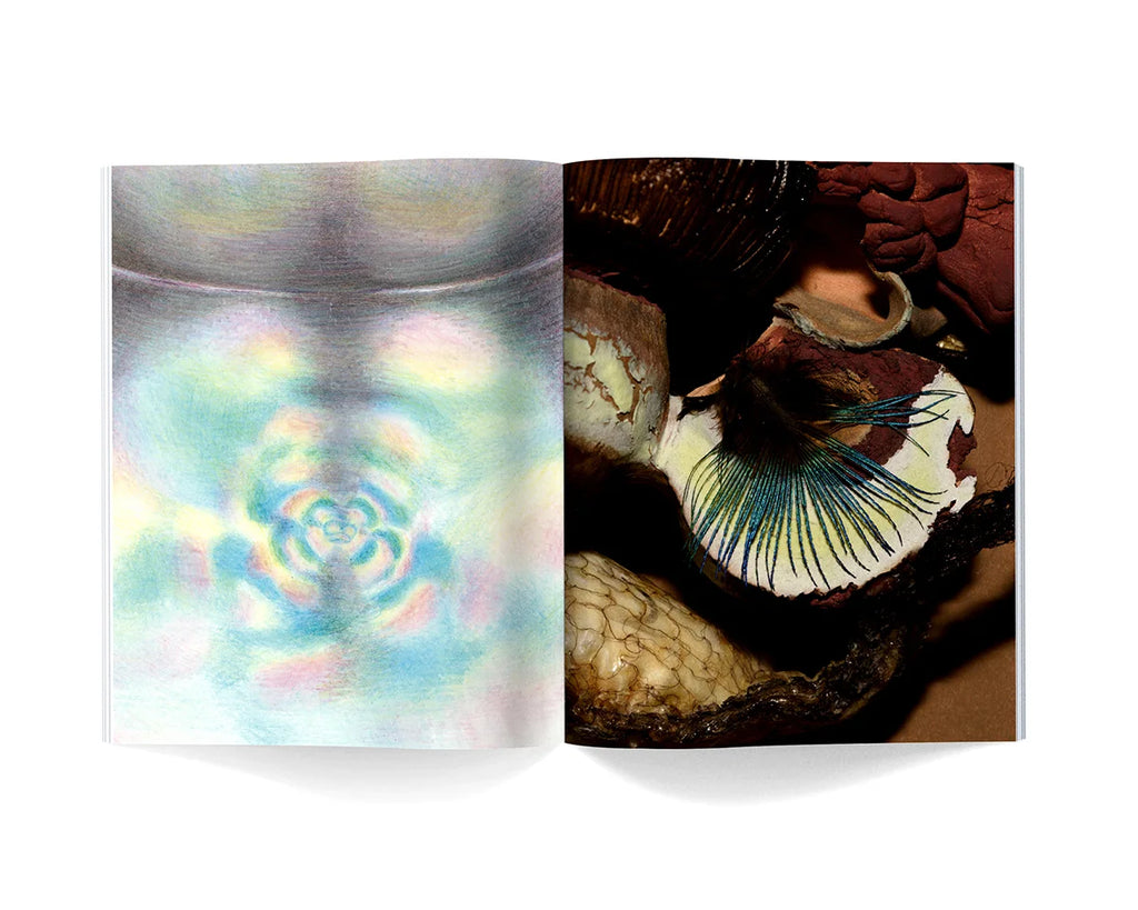 Temple Magazine - Issue 13 "Botanics"