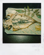 Nobuyoshi Araki <br><em>Object</em>, 2006-2009