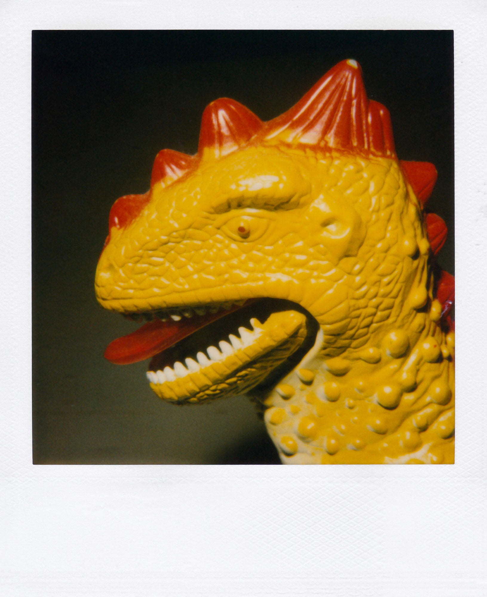 Nobuyoshi Araki <br><em>Object</em>, 2006-2009