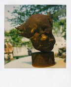 Nobuyoshi Araki <br><em>Object</em>, 2006-2009