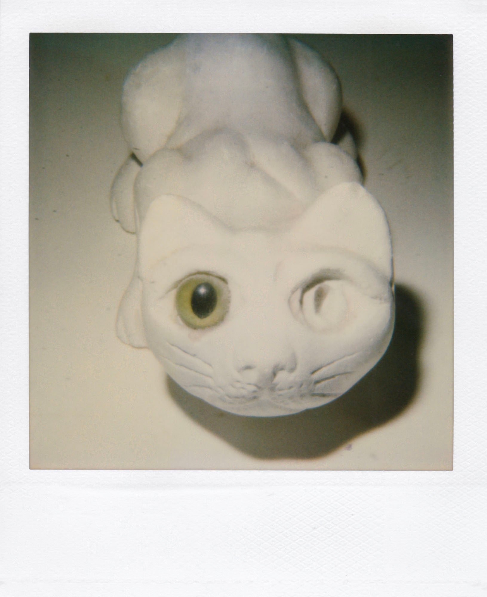 Nobuyoshi Araki <br><em>Object</em>, 2006-2009
