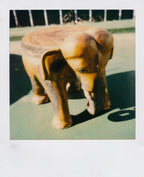 Nobuyoshi Araki <br><em>Object</em>, 2006-2009