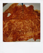 Nobuyoshi Araki <br><em>Object</em>, 2006-2009