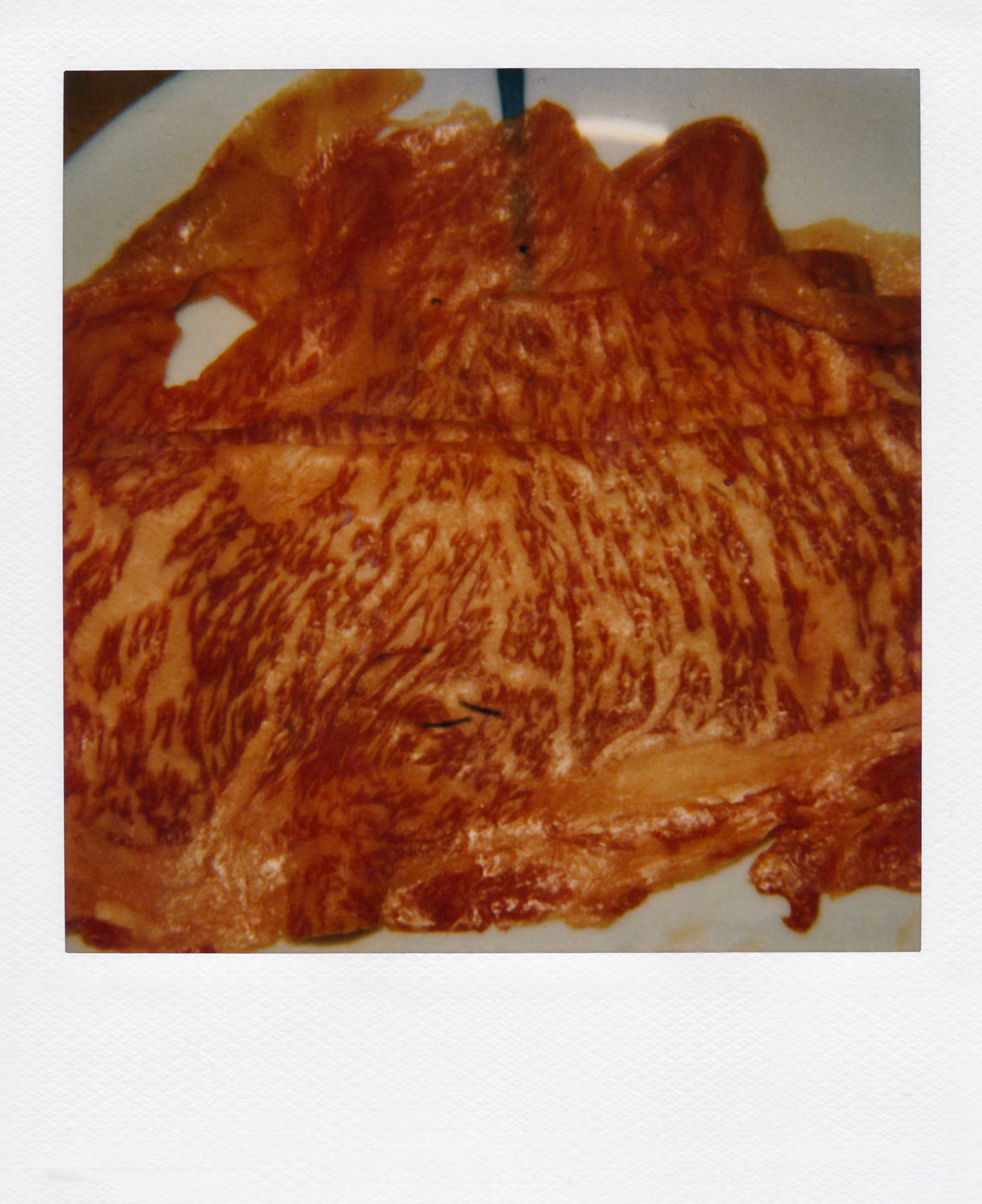 Nobuyoshi Araki <br><em>Object</em>, 2006-2009